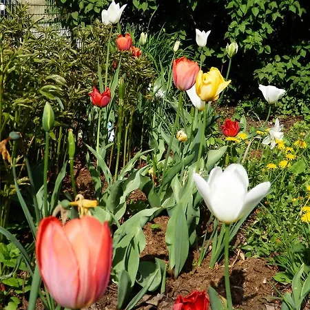 Kronenwirt Han/Misafirhane 3*