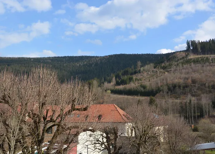 Kronenwirt Värdshus Gurk