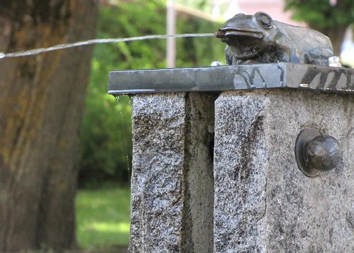 Kronenwirt Värdshus 3*