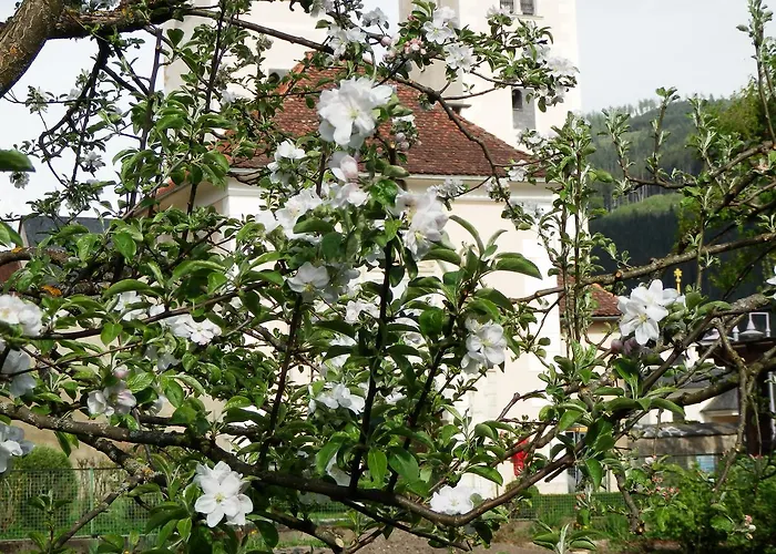 Kronenwirt Värdshus 3*